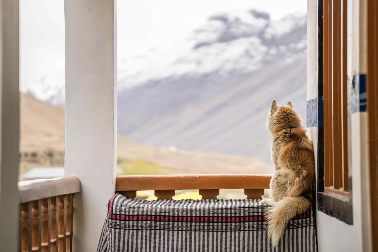 Zostel Spiti Hostel Kaza Bagian luar foto